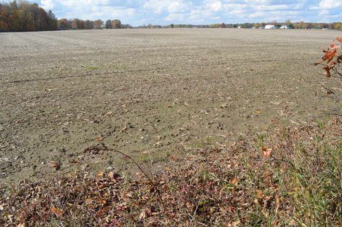 Property photo 49 - 75.3 Acres Offered in 2 Tracts